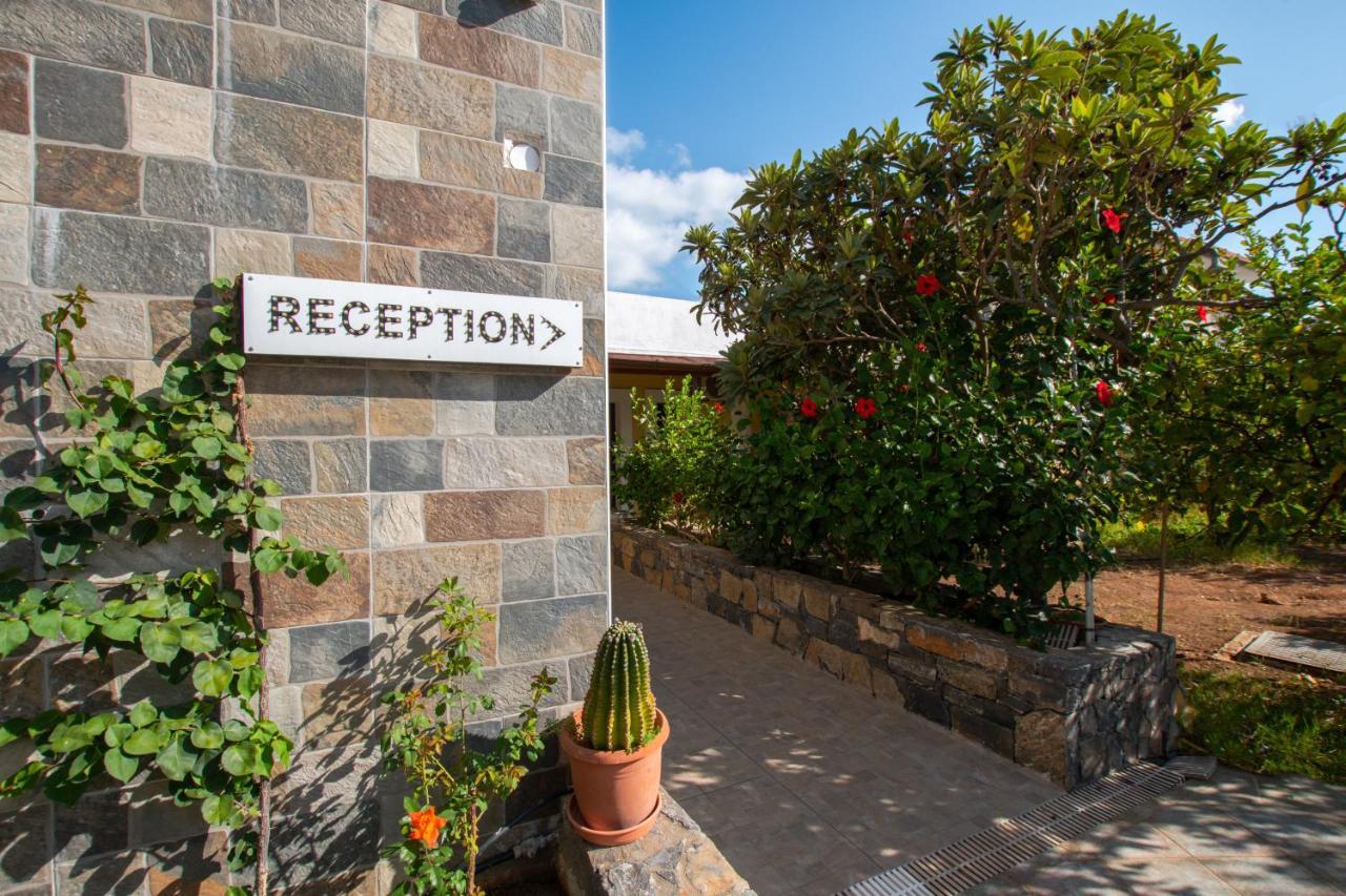 Villa Medusa Hersonissos  Bagian luar foto