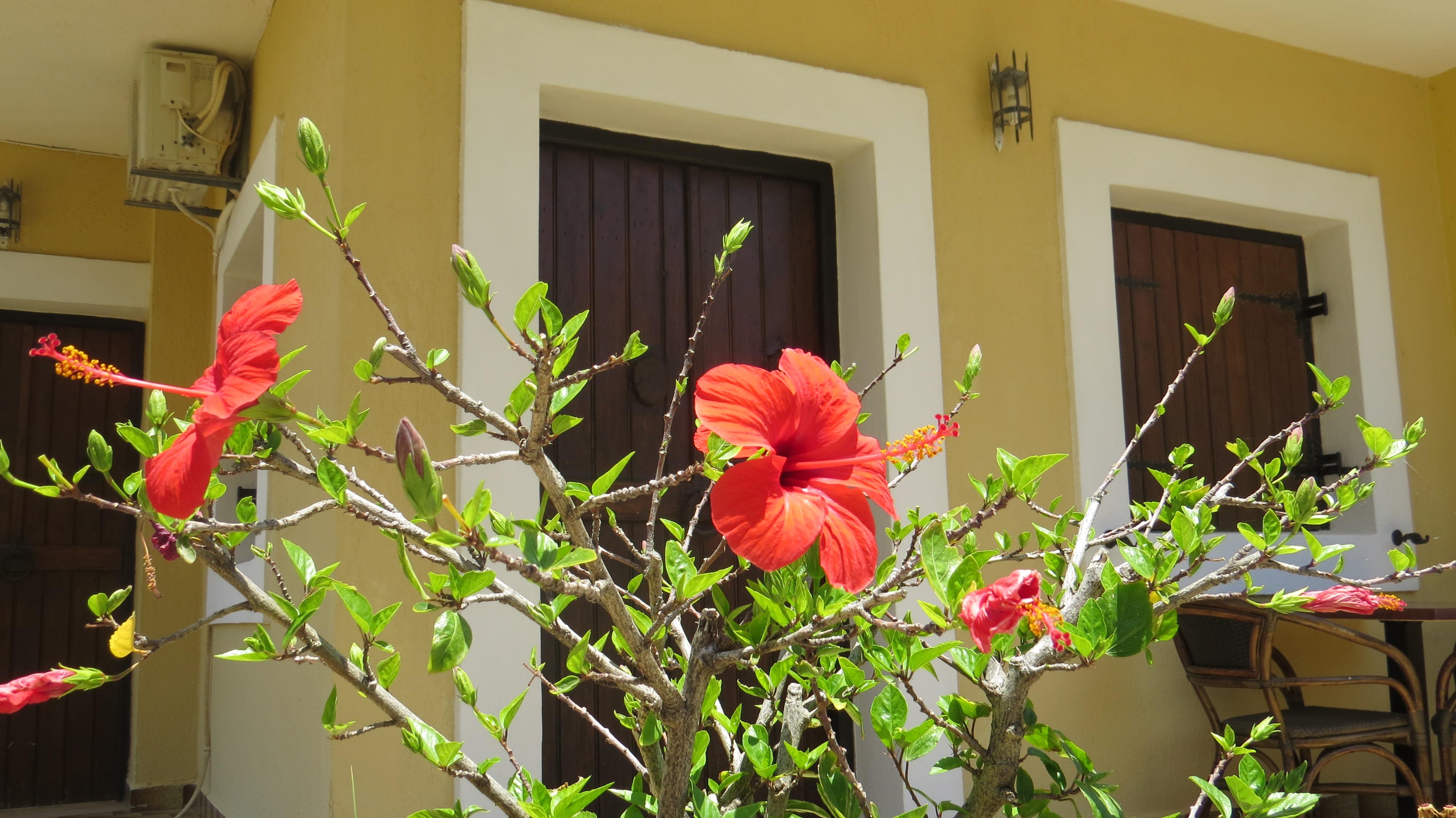 Villa Medusa Hersonissos  Bagian luar foto