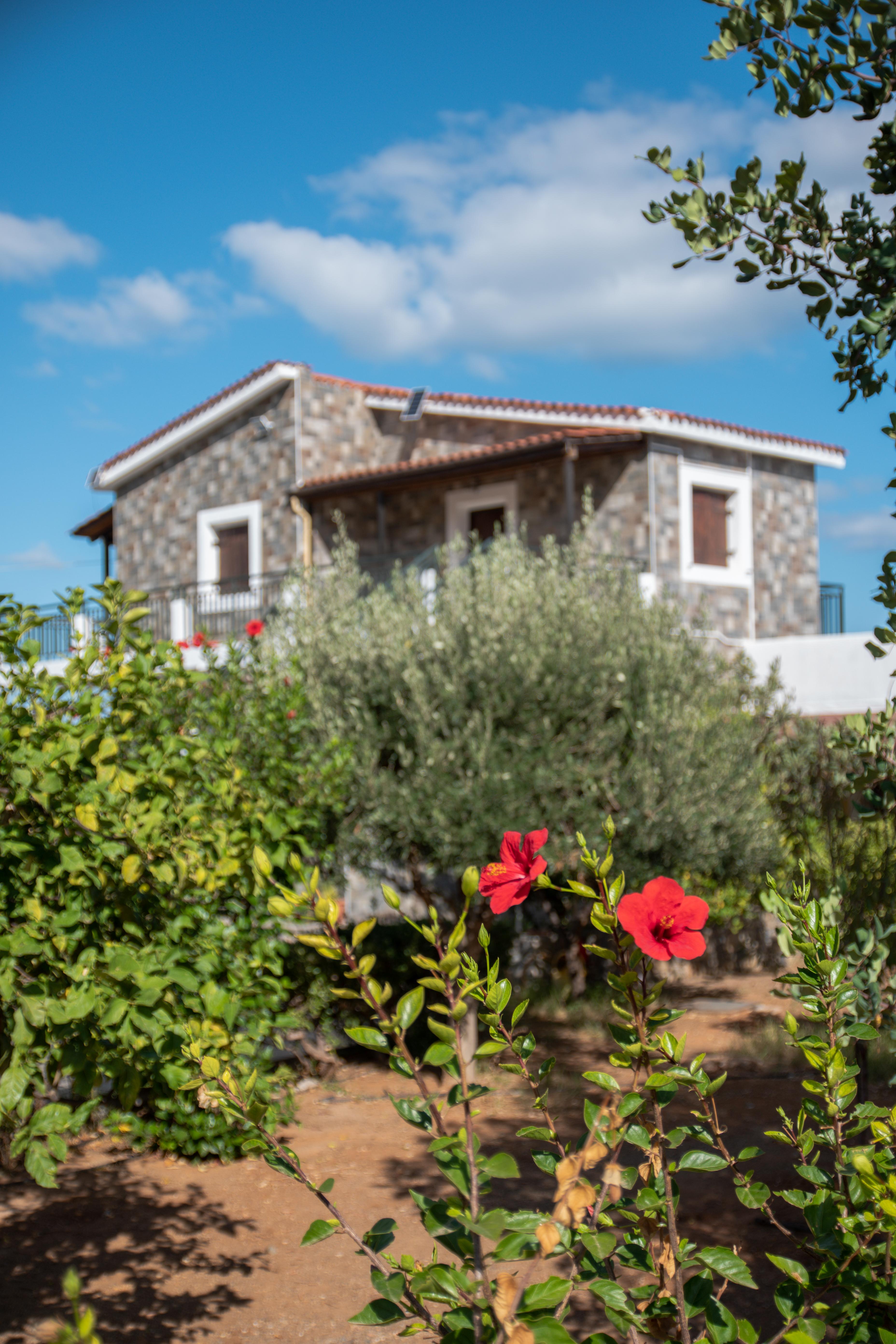 Villa Medusa Hersonissos  Bagian luar foto